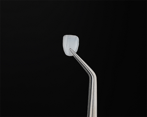 Tweezers holding a veneer
